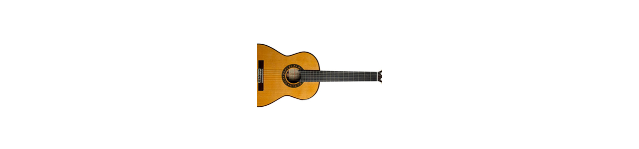 Guitarras Acusticas