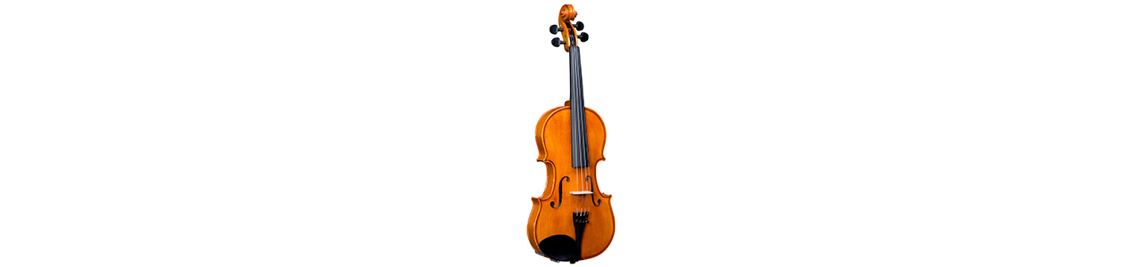 Violín