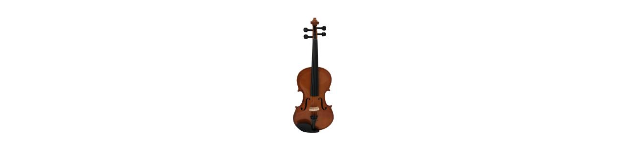Viola